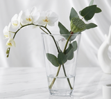 אגרטל קוני שקוף - The Collection by Aviel Waizman