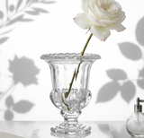 אגרטל זכוכית מרקו פולו - The Collection by Aviel Waizman
