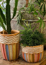 בית עציץ קרמיקה צבעוני