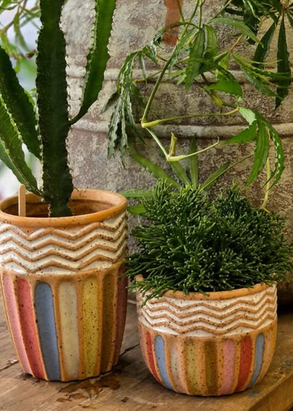 בית עציץ קרמיקה צבעוני