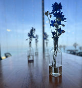 בקבוק זכוכית שקופה לפרח בודד