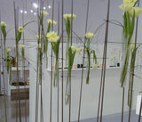 מבחנת מעבדה לתליה לפמפס ופרחים גובה 20 ס"מ בסיס שטוח ומבחנות 20 סמ 18 ס"מ 16ס" 10 ס"מ בסיס עגול - Decor 2 Home