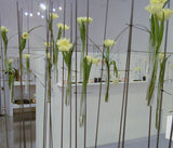 מבחנת מעבדה לתליה לפמפס ופרחים גובה 20 ס"מ בסיס שטוח ומבחנות 20 סמ 18 ס"מ 16ס" 10 ס"מ בסיס עגול - Decor 2 Home