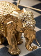 פיל זהב דקורטיבי - The Collection by Aviel Waizman